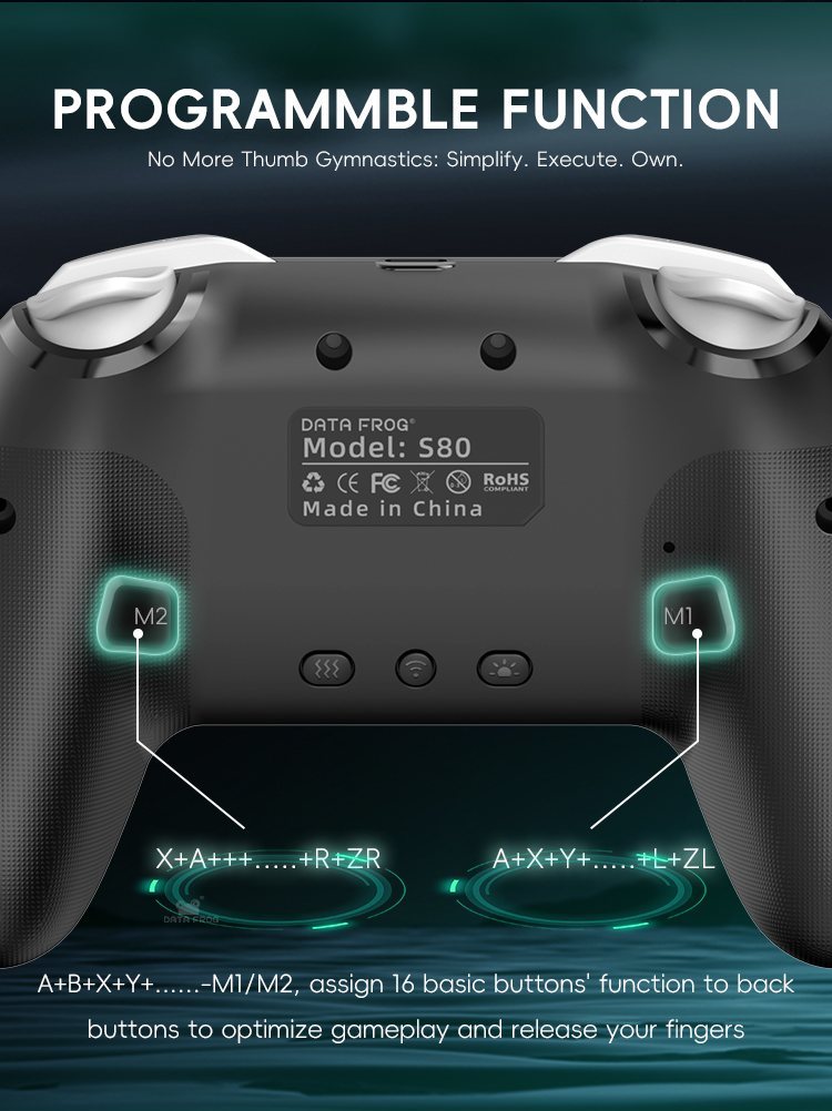 DATA FROG 2 Pack Wireless Pro  - مراجعة Gaming Console For Android Tv وسعره